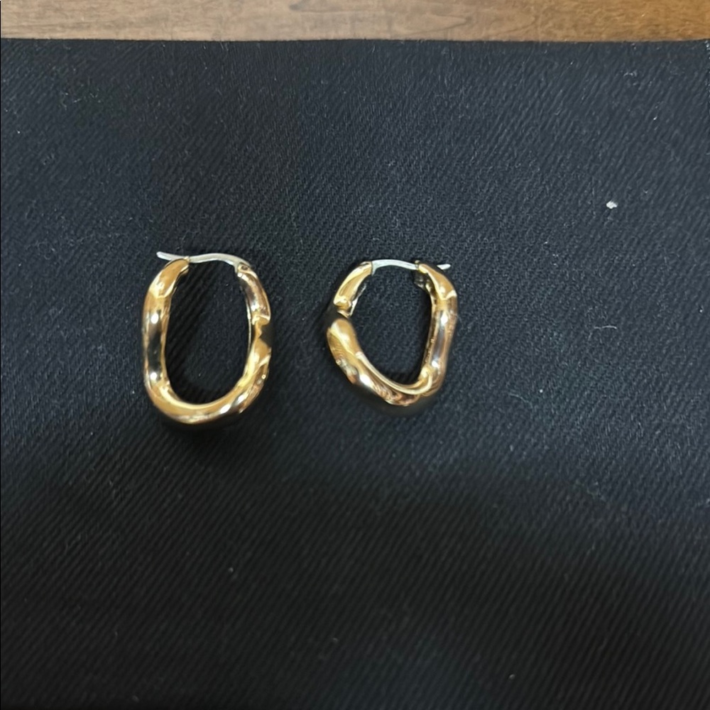 Jenny Bird Gala earrings